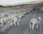Farm to Needle