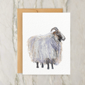 Greeting Card - Norwegian Sheep