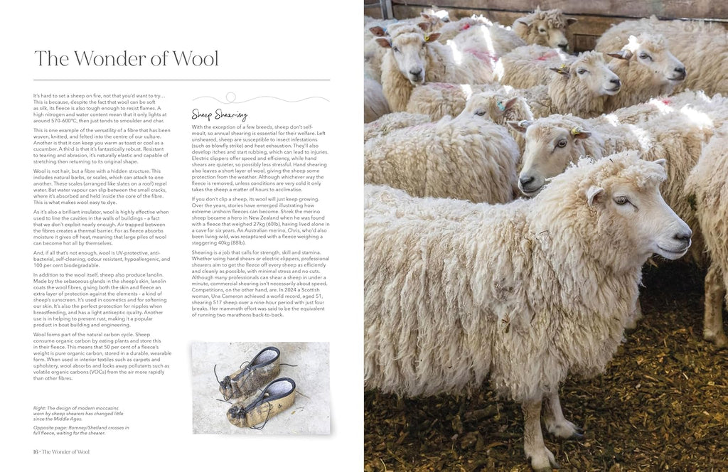 The Wonder of Wool: A Knitter's Guide to Pure Breed Sheep