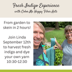 Class: Fresh Indigo Dyeing Experience