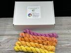 Color Me Happy - Make Your Own Minis Kit