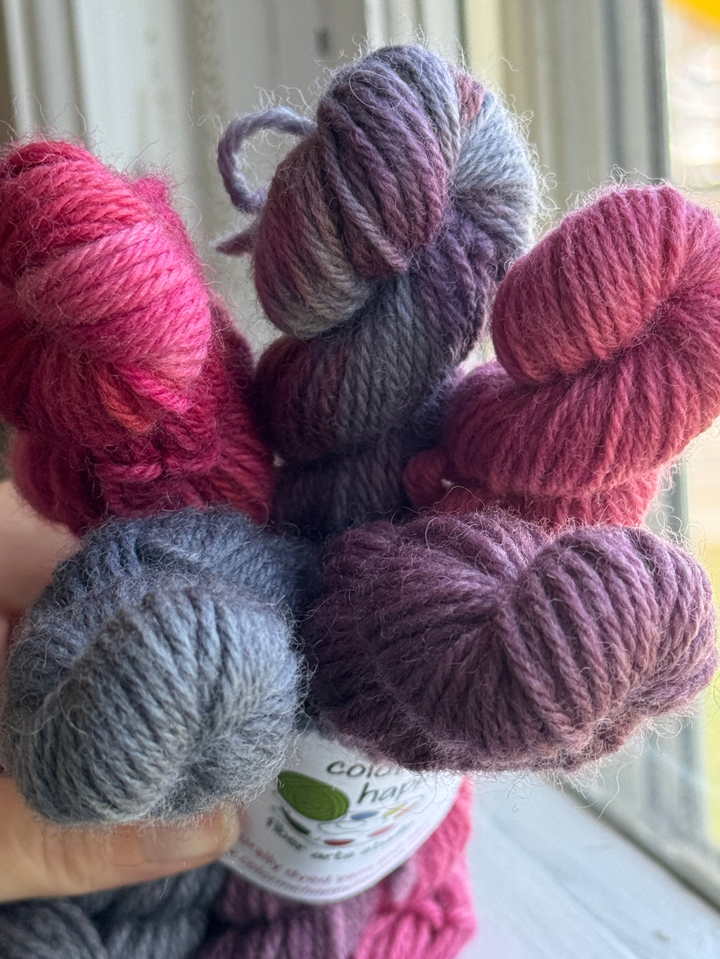 Color Me Happy - DK Minis Untreated Wool