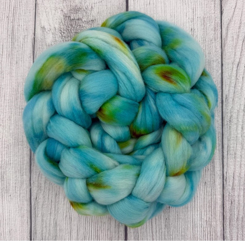 Hand Dyed Polwarth Combed Top by AJEM