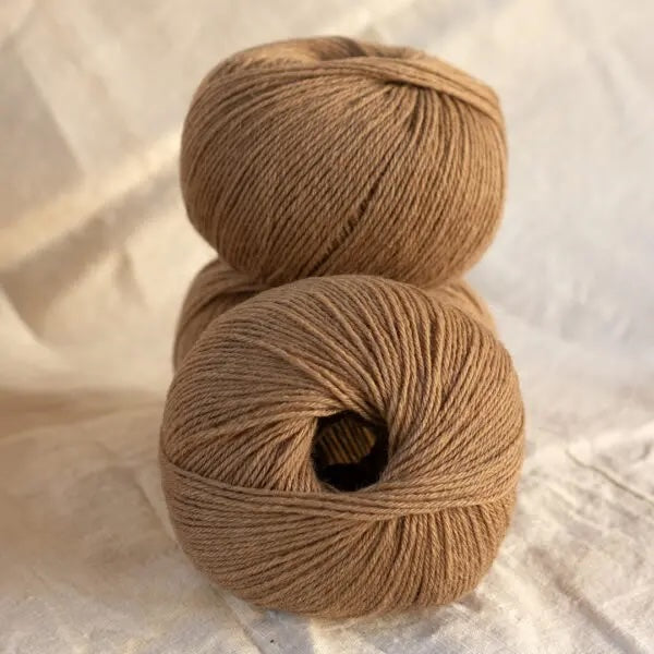 Myak - Baby Camel