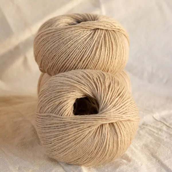 Myak - Baby Camel