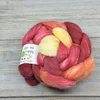 Color Me Happy - Shaniko Silk Combed Top